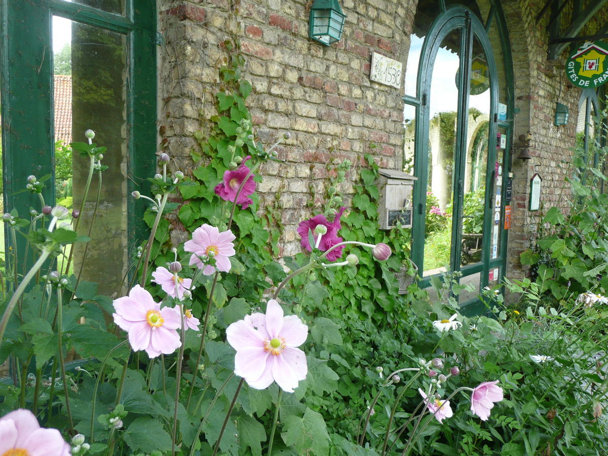Manoir De Bois En Ardres Bed and Breakfast Zewnętrze zdjęcie