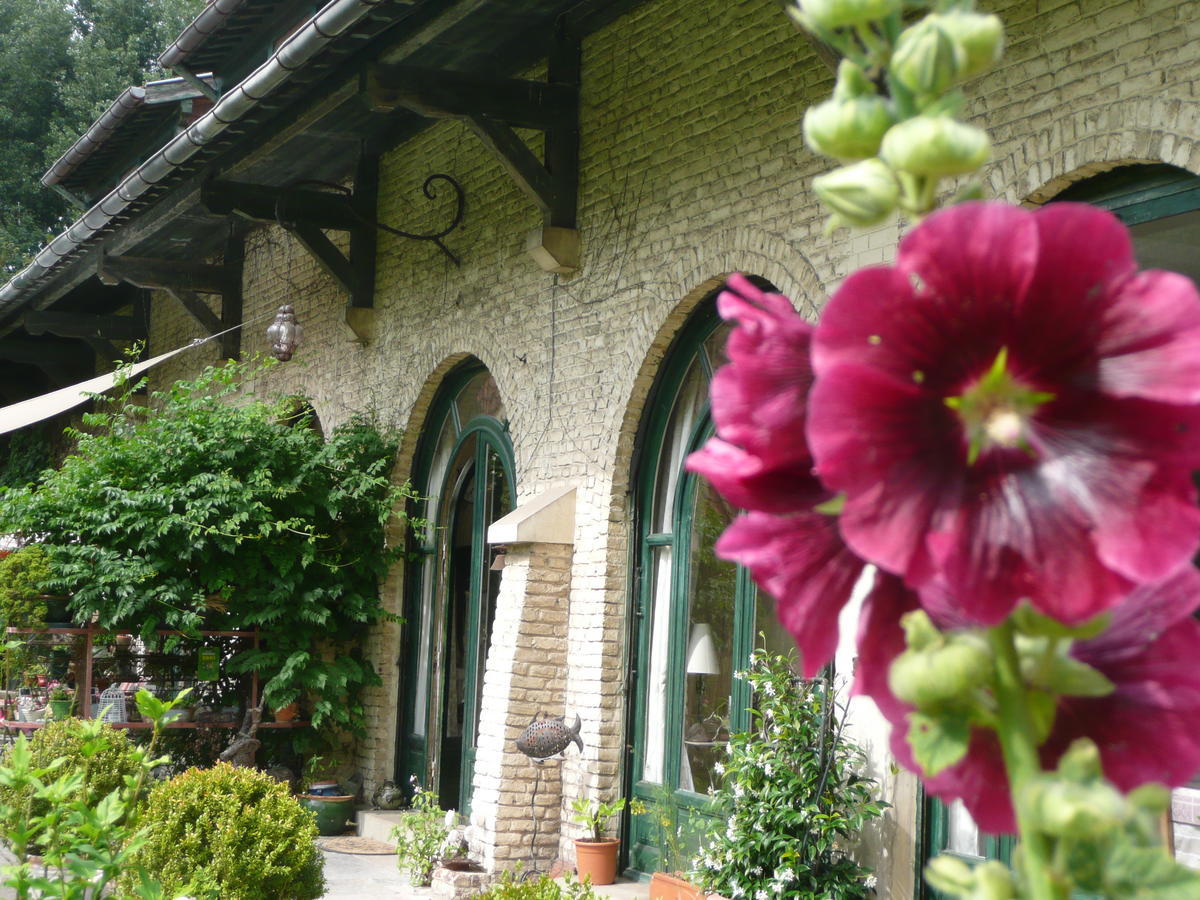 Manoir De Bois En Ardres Bed and Breakfast Zewnętrze zdjęcie